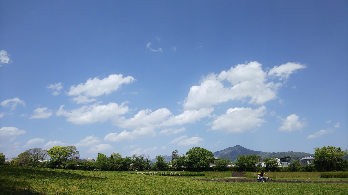 c0057390_17295501.jpg