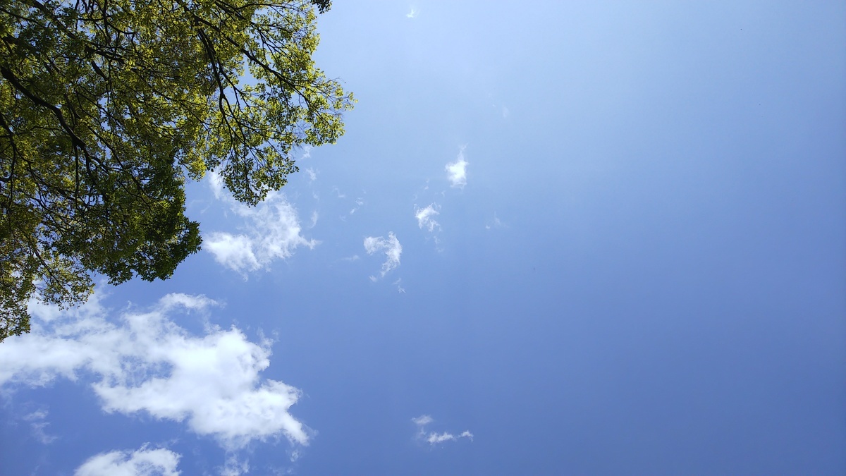 c0057390_17300857.jpg