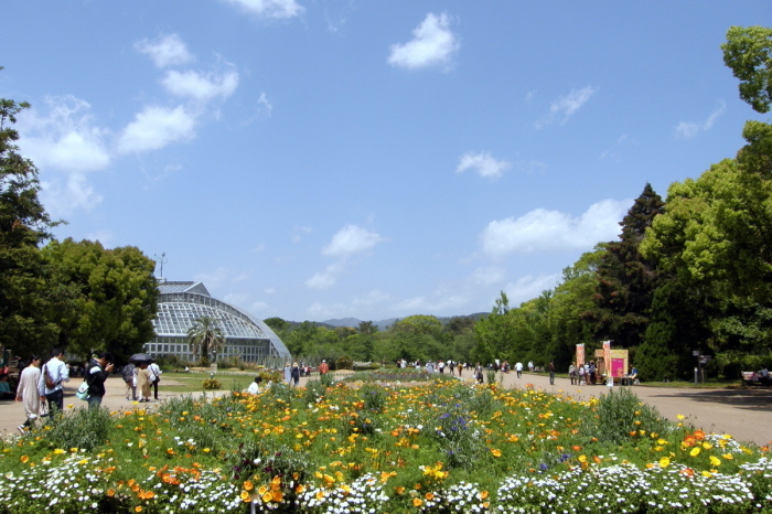c0057390_17310751.jpg