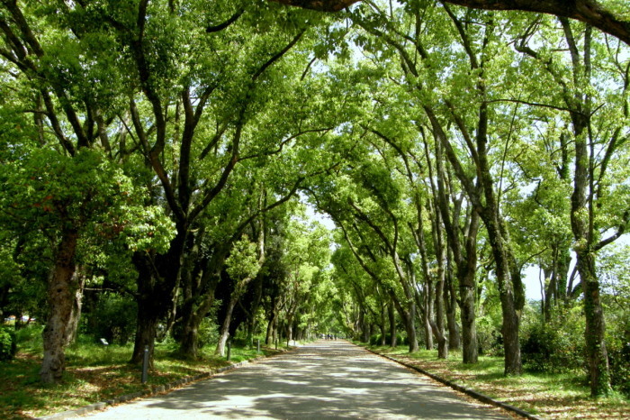 c0057390_17312030.jpg