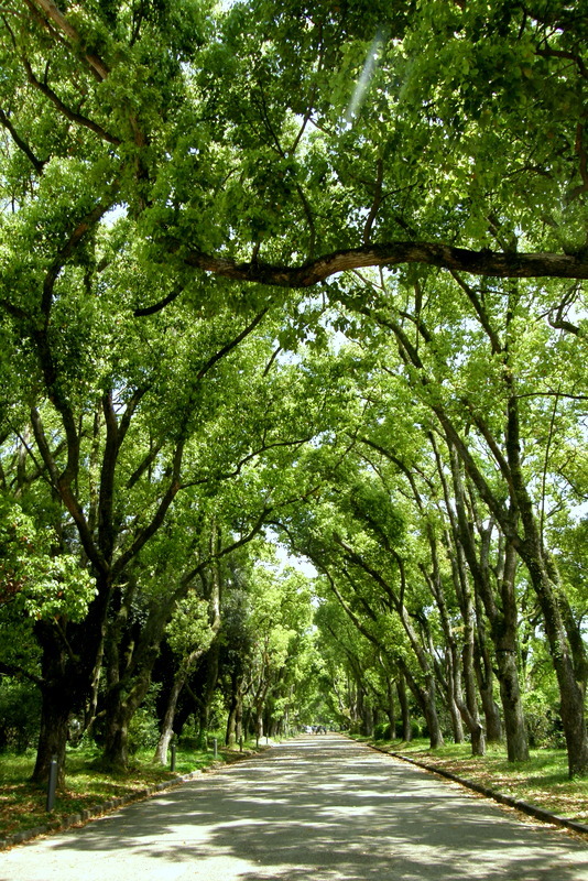 c0057390_17325223.jpg