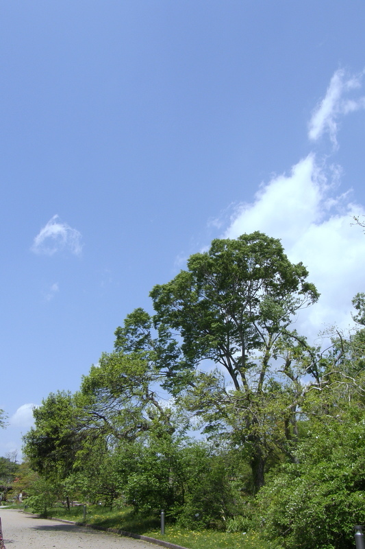 c0057390_17331888.jpg
