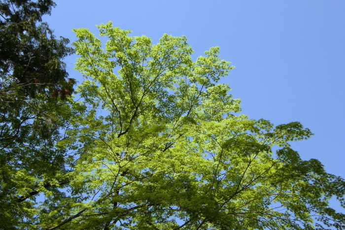 c0057390_17334180.jpg