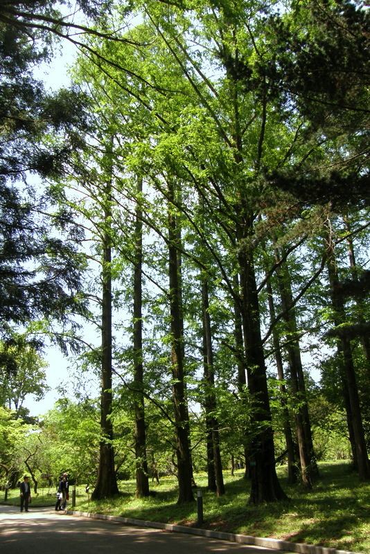 c0057390_17335005.jpg