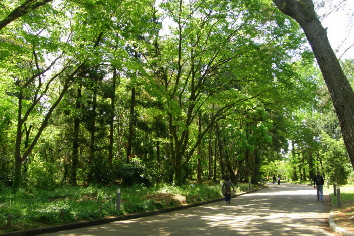 c0057390_17340319.jpg