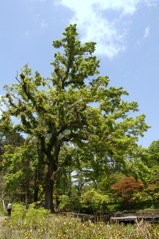 c0057390_17341711.jpg