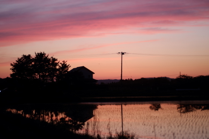 令和美しき夕景_d0021491_21522829.jpg