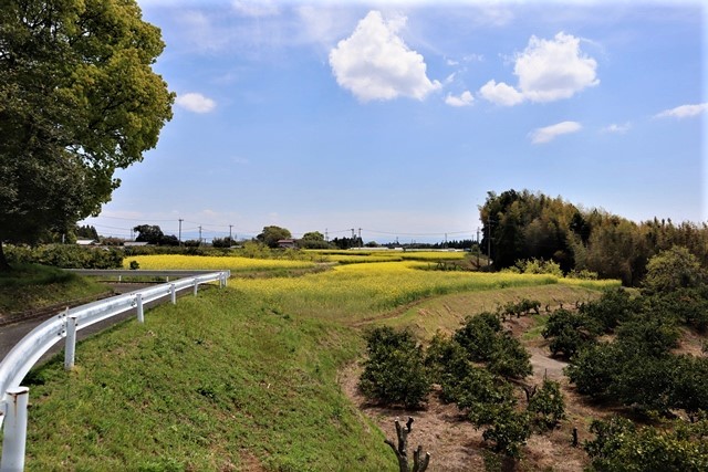 藤田八束の鉄道写真@故郷熊本を訪ねて、田原坂の戦いを改めて知る・・・熊本大学サイクリング部の若者たちに元気を頂きました_d0181492_23084912.jpg