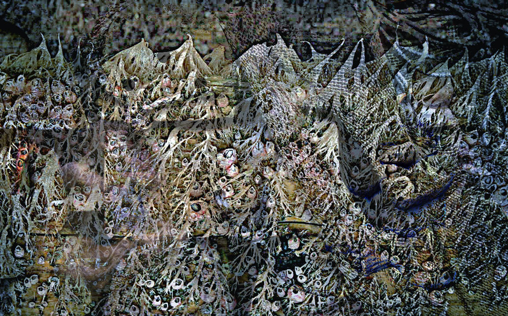 f0018492_11045510.jpg
