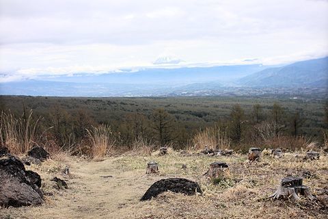 c0090198_20292346.jpg