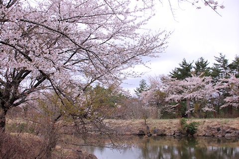 莉音ママ達の二日目&３日目です。_c0090198_20334595.jpg