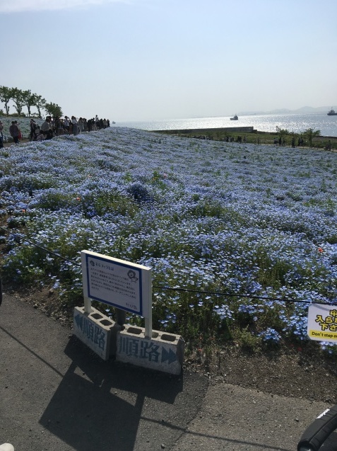 c0195200_10350176.jpeg