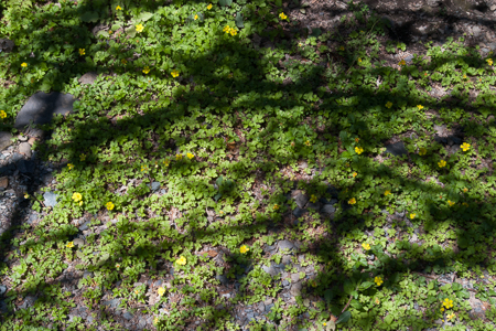 f0239100_00475347.jpg
