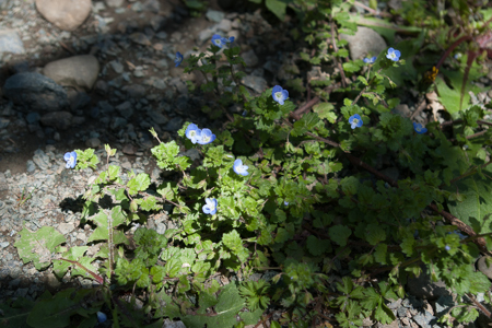 f0239100_00524051.jpg