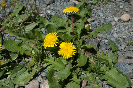 f0239100_00562527.jpg