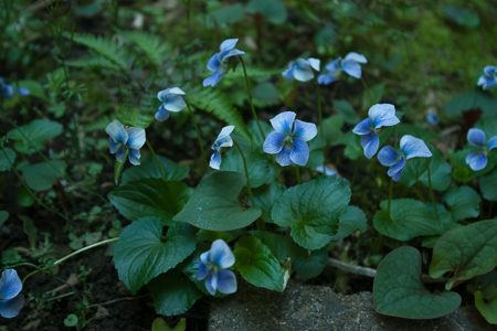 f0239100_01460162.jpg