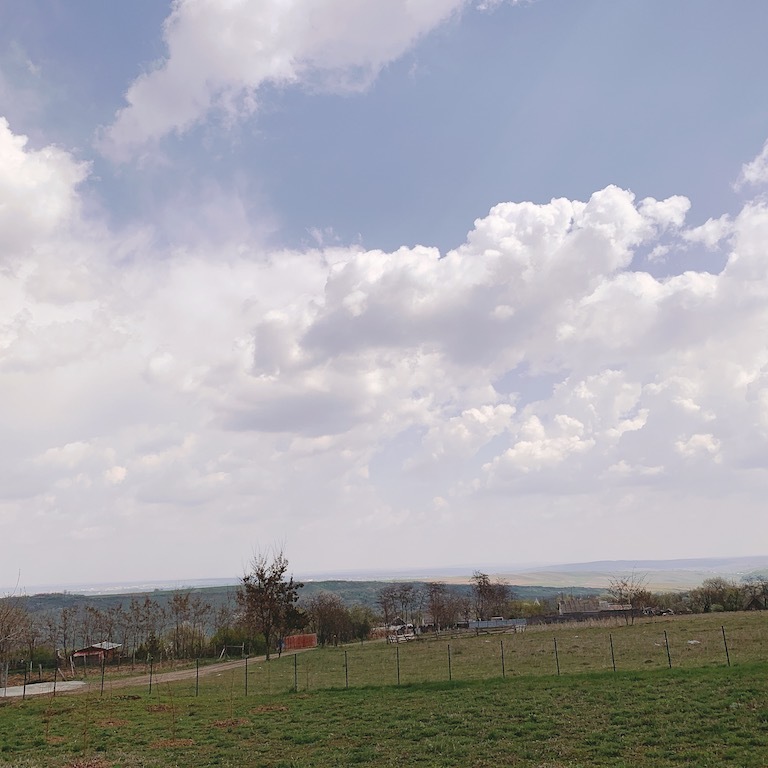 c0193304_16084897.jpg