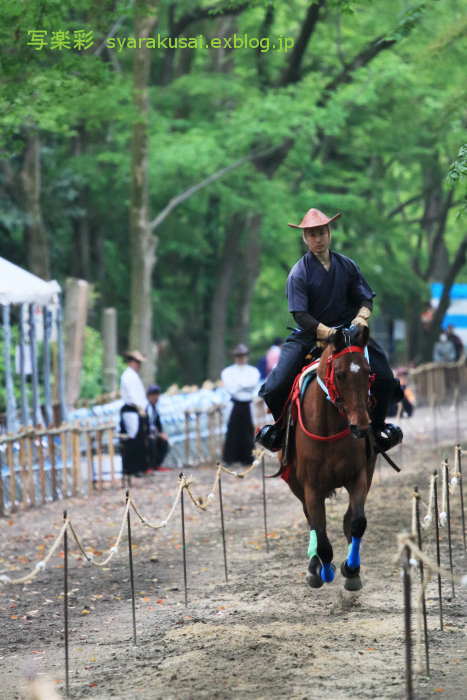 下鴨神社に行く5月_b0191505_13214643.jpg