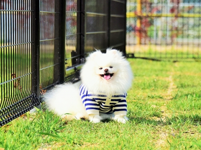 一緒に頑張ってみる_d0360206_00263665.jpg