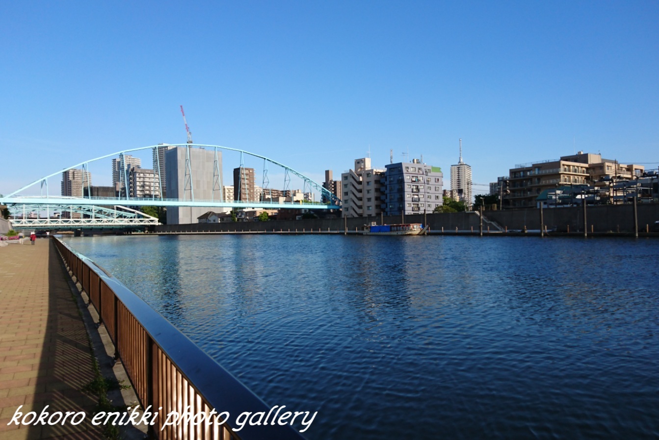 「隅田川の青い風景」_e0404607_10221479.jpg