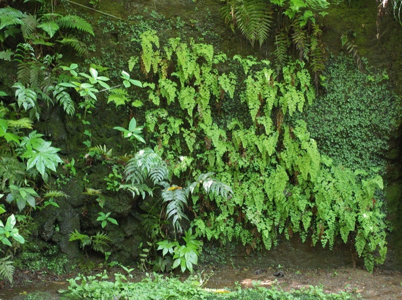 e0276411_22373361.jpg