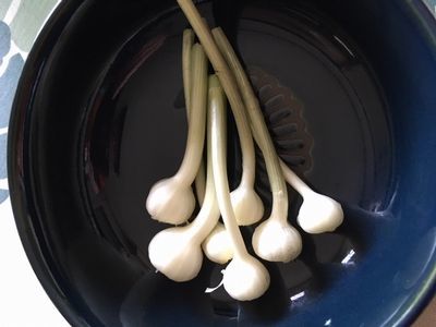今宵はのびるで一杯_e0234016_19051317.jpg