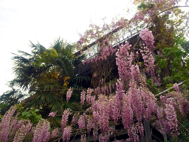 a0231632_04180979.jpg