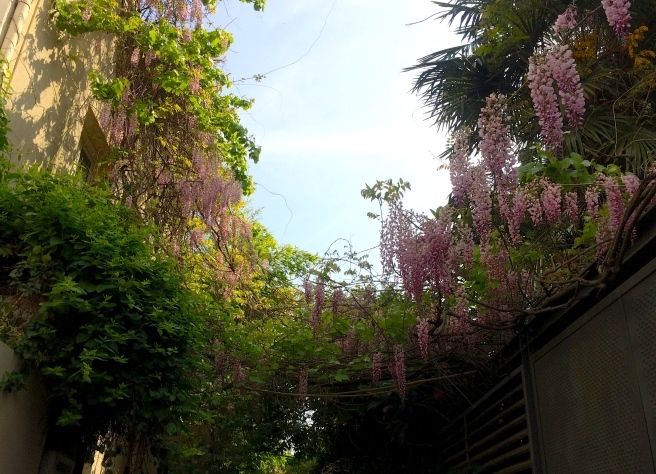 a0231632_04195045.jpg