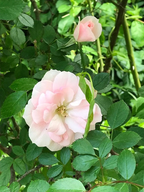 d0269832_22350572.jpeg