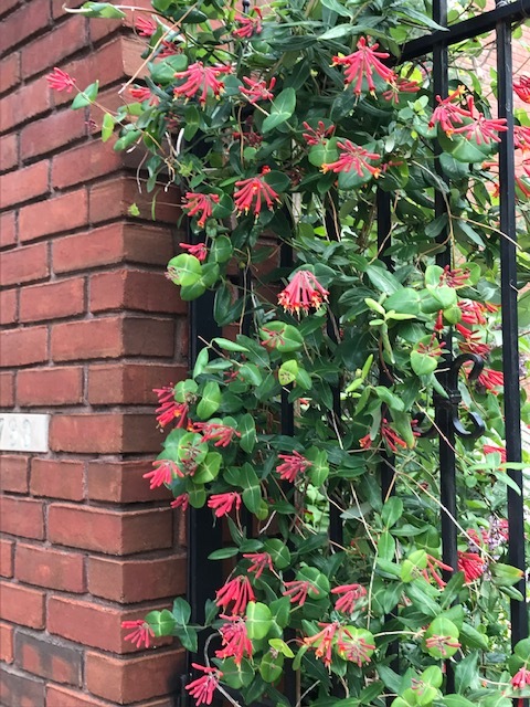 d0269832_22352387.jpeg
