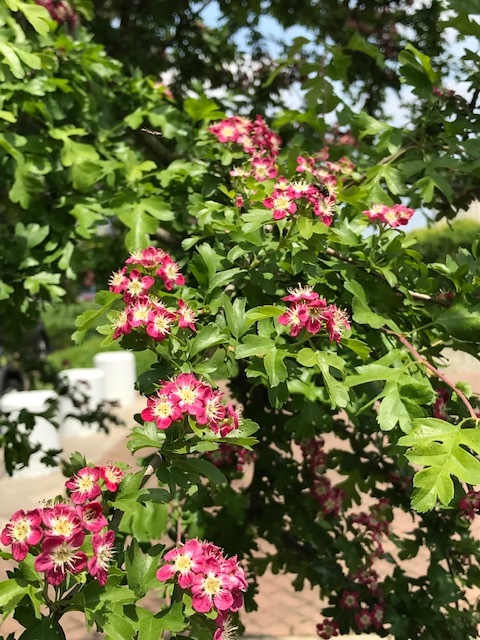 d0269832_22361089.jpeg