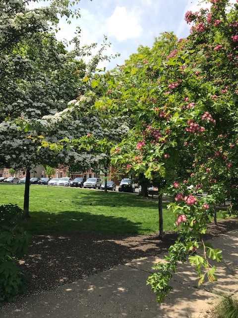 d0269832_22363208.jpeg