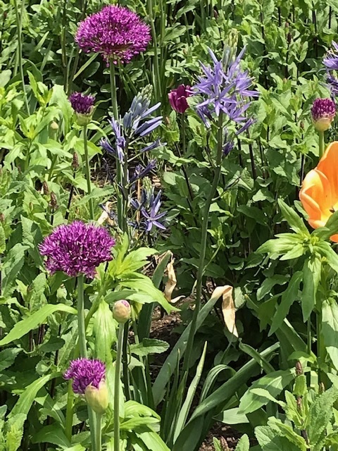 d0269832_22372771.jpeg