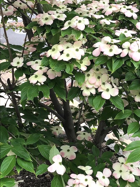 d0269832_22380815.jpeg