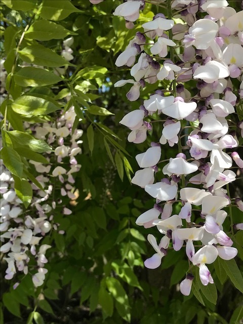d0269832_22404054.jpeg