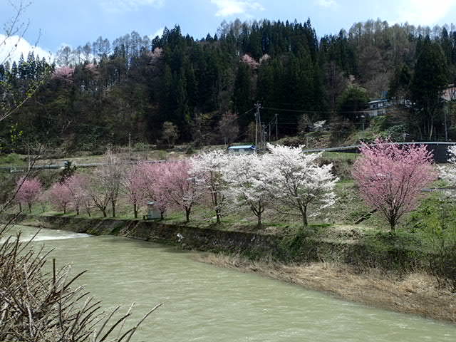 e0039033_19553872.jpg