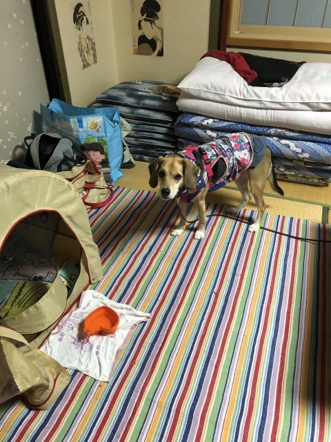 b0031538_21474539.jpeg