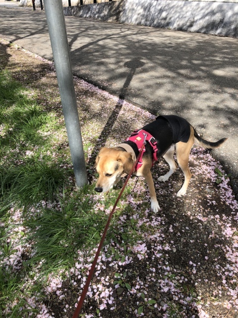 b0031538_21522209.jpeg