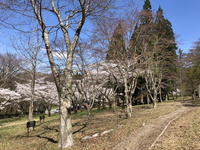 b0031538_22035243.jpeg