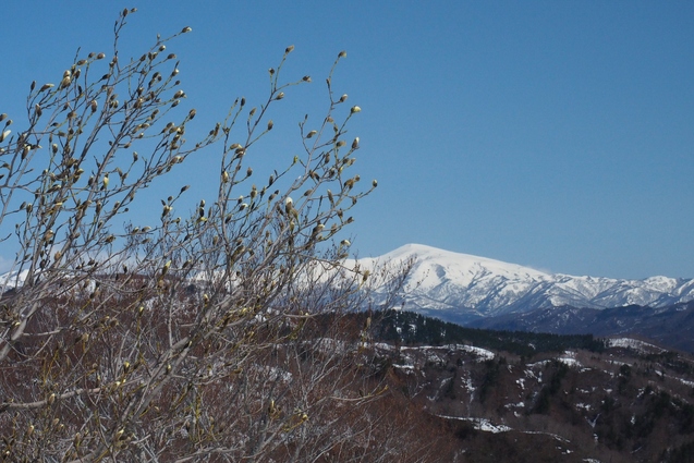 2019/4/28~30 大朝日岳~長井葉山縦走その1_b0189948_20155820.jpg