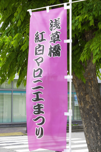 f0077849_17004401.jpg