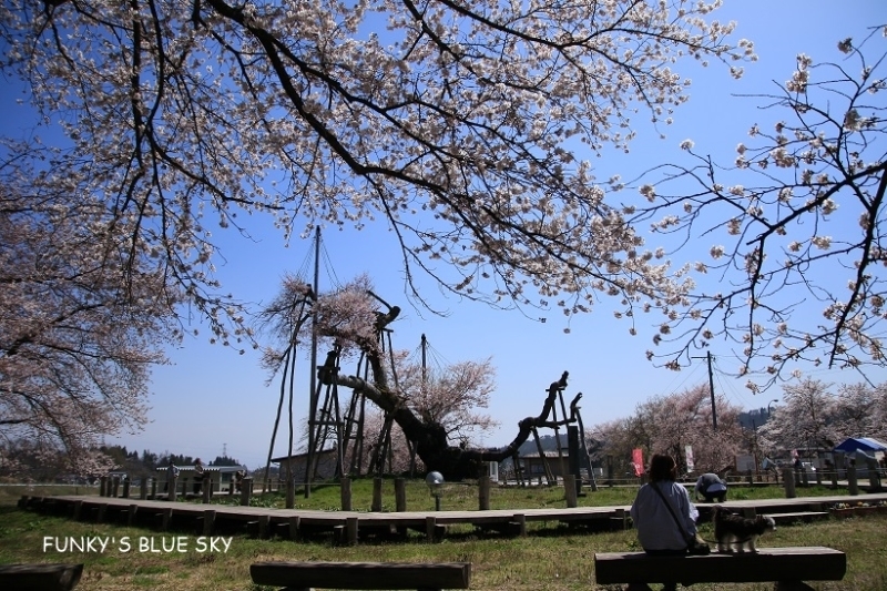 c0145250_11124363.jpg