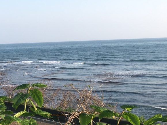 c0254151_18135644.jpeg