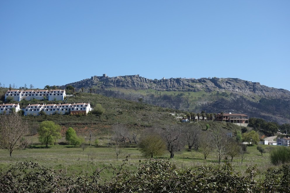 f0201157_21363041.jpg