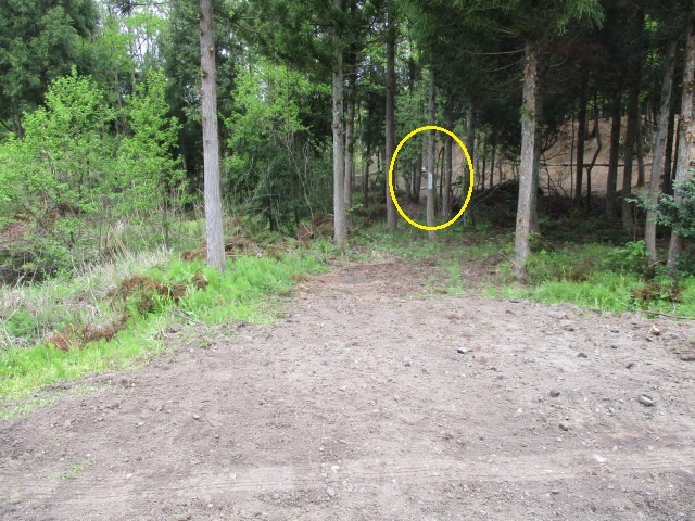 c0080863_17540507.jpg