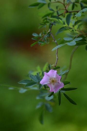 c0186463_00051347.jpg