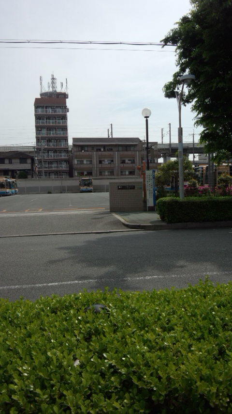 b0018469_11292307.jpg