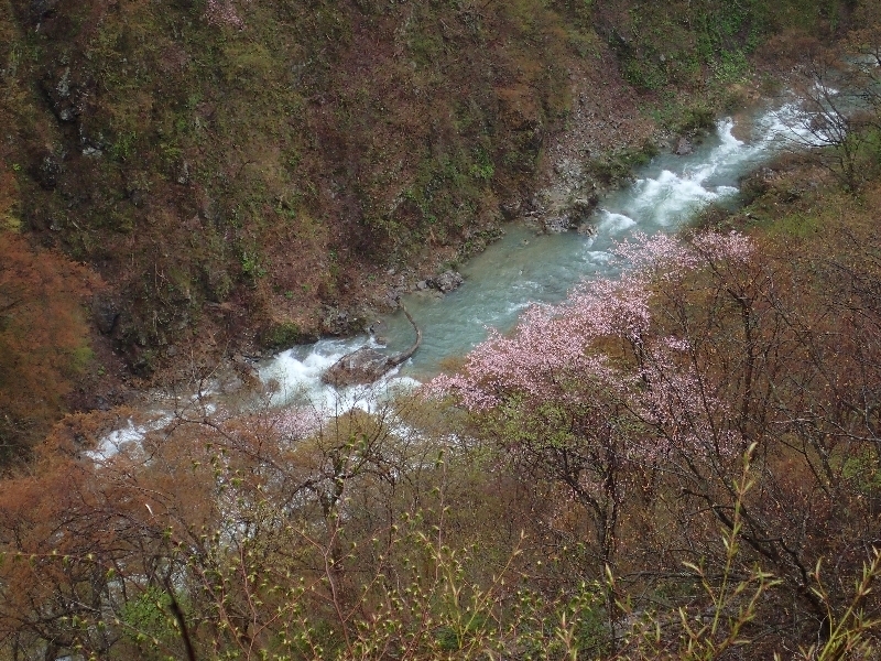 b0084270_05090090.jpg