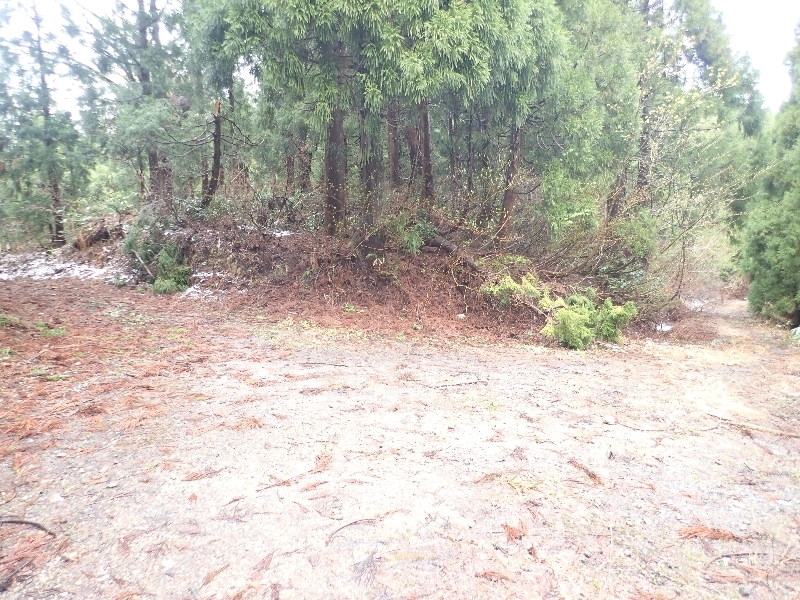 b0084270_06013787.jpg