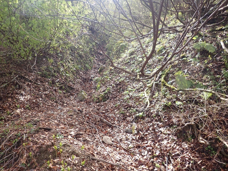 b0084270_06441936.jpg